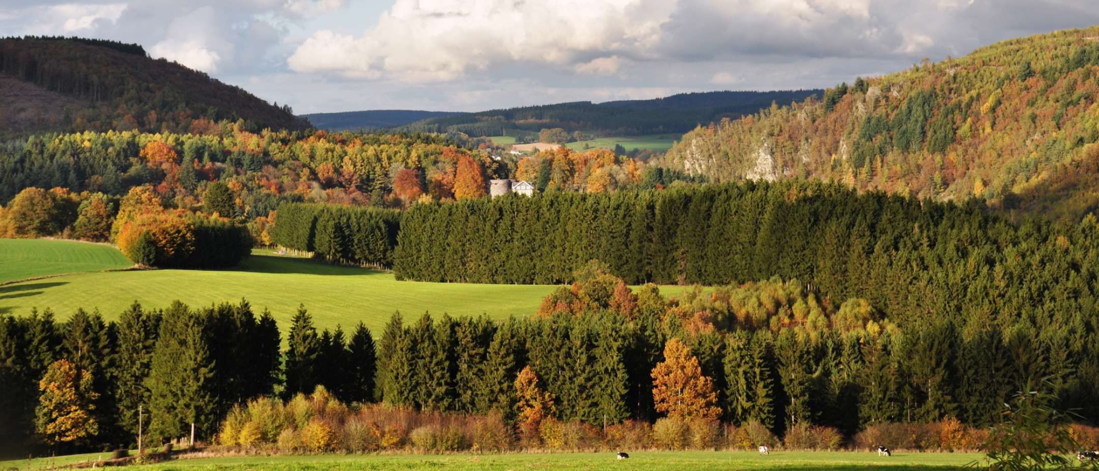 L'Ardenne